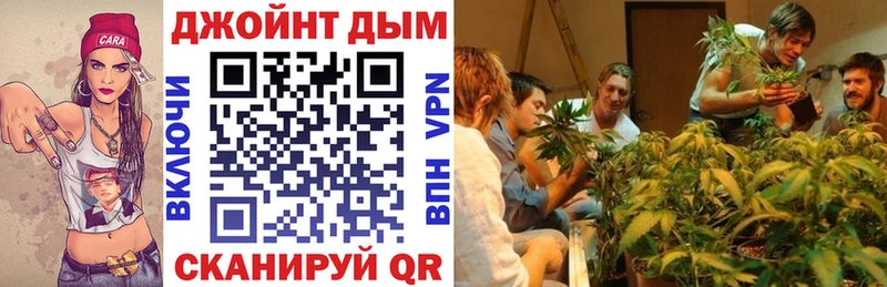 где найти   Петушки  KRAKEN ТОР  Бошки Шишки MAZAR 